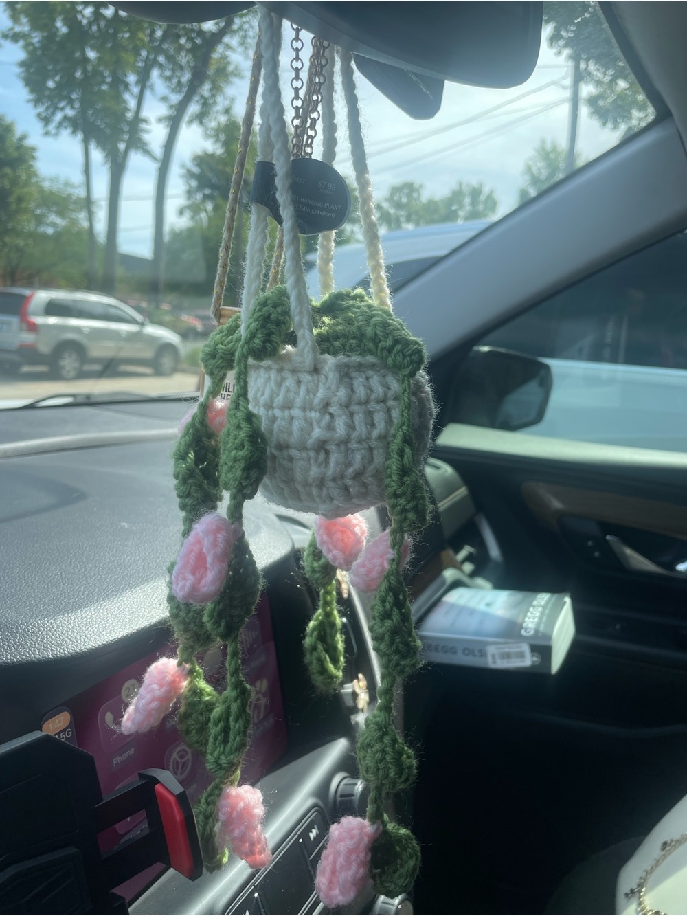 Crochet Hanging Planter with Pink Flowers